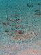 Click to zoom...