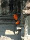 Click to zoom...