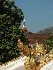 Click to zoom...