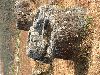 Click to zoom...