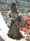 Click to zoom...